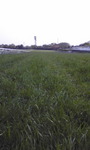 090419_1706~02.jpg