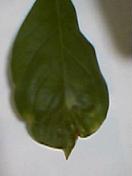 060904_1905001.jpg